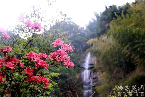 黃龍山頂，風景如畫 黃錚 攝_副本.jpg.jpg