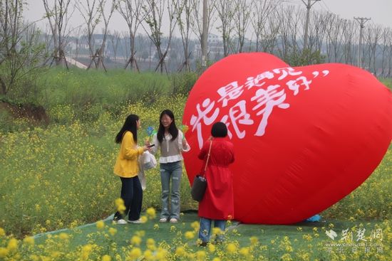 4月3日奶牛場(chǎng)油菜花海文旅活動(dòng) (3).jpg.jpg