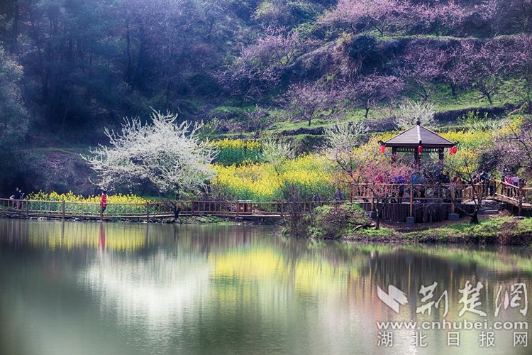 13沼山古村桃鄉(xiāng)景區(qū)桃花.jpg.jpg